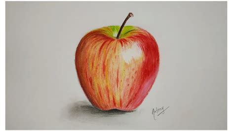 How to draw a realistic apple for beginners | step by step tutorial ...