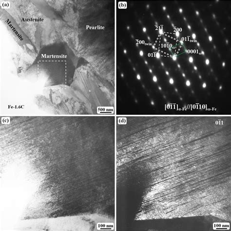 TEM images of the twinning structure in martensite plates: (a ...