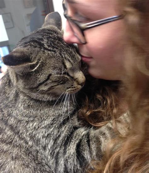 Shelter Cat Gives Volunteer the Biggest Hug and Won't Let Go... - Love Meow