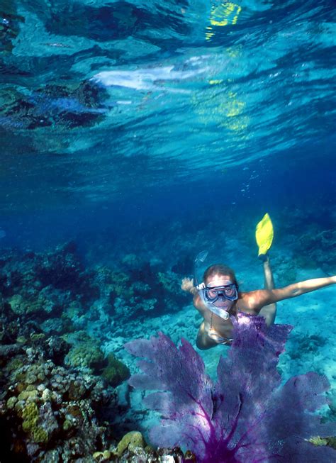 Snorkeling in the Atlantic Ocean (Coral Reef) Photo by Rob O'Neal ...