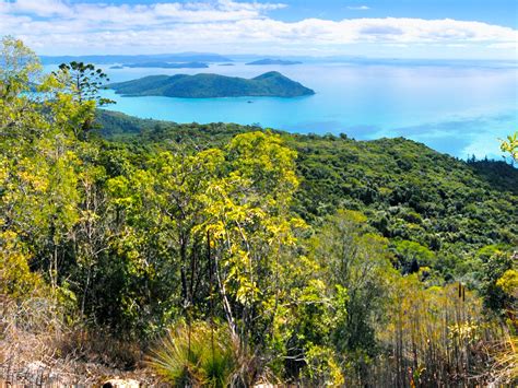 Whitsunday Peak track | Whitsunday Islands National Park | Parks and ...