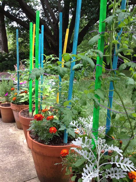 I painted my tomato stakes to add some fun and color to my pots ...