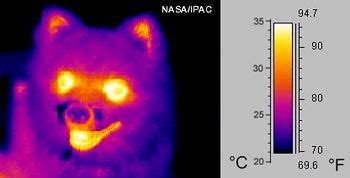 Infrared radiation - Energy Education