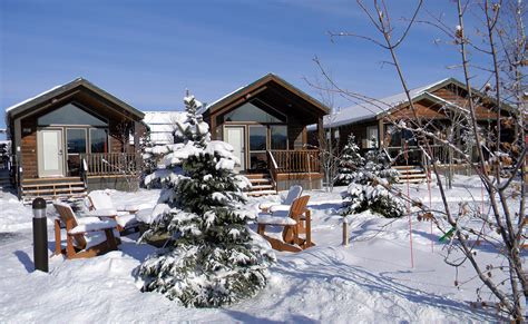 Explorer Cabins At Yellowstone Yellowstone National Park