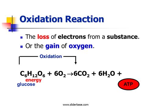 Cellular respiration - Presentation Biology