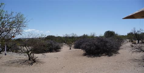 Metamorphosis Road: Campground Review: Elephant Butte Lake State Park