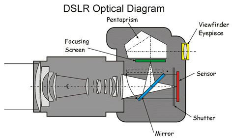 DSLR Optical Diagram | Diagram, Shutter mirror, Dslr