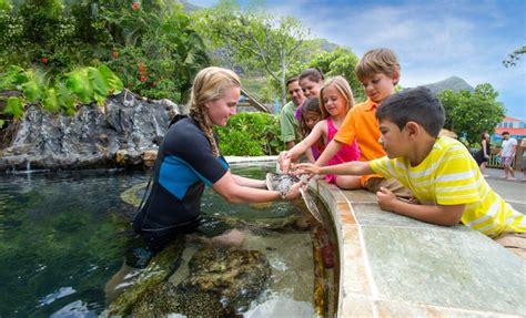 Sea Life Park on Oahu: an Exclusive Interview | Hawaii Travel with Kids