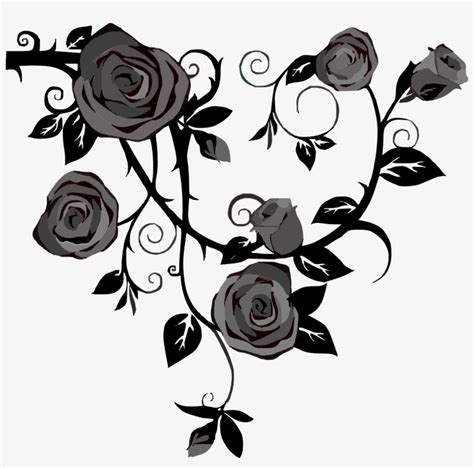 Rose Vine Drawing Thorns Transparent PNG - 1920x1809 - Free Download on ...