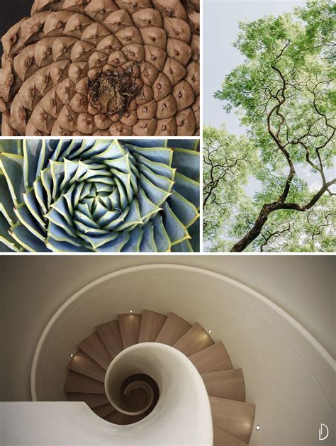 Biophilic & Sustainable Interior Design · Biophilic moodboards ...