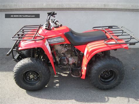 2003 Yamaha Beartracker 250