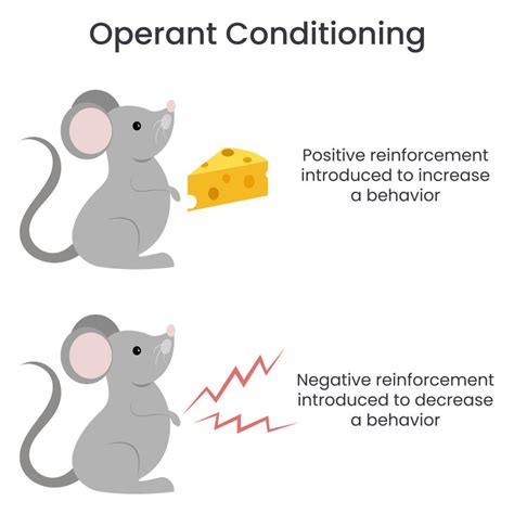 Operant Conditioning: What It Is, How It Works, and Examples (2023)