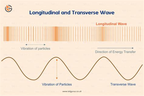 Longitudinal Wave And Transverse Wave Difference