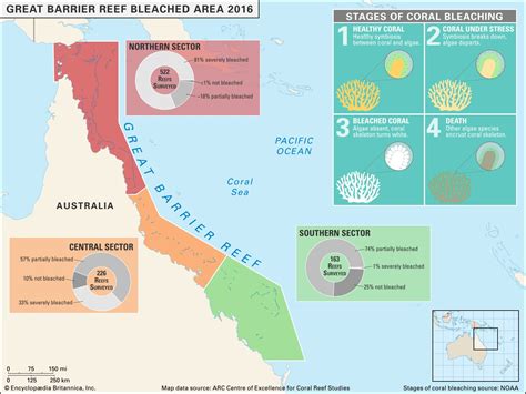 coral bleaching | Definition, Causes, Consequences, & Facts | Britannica