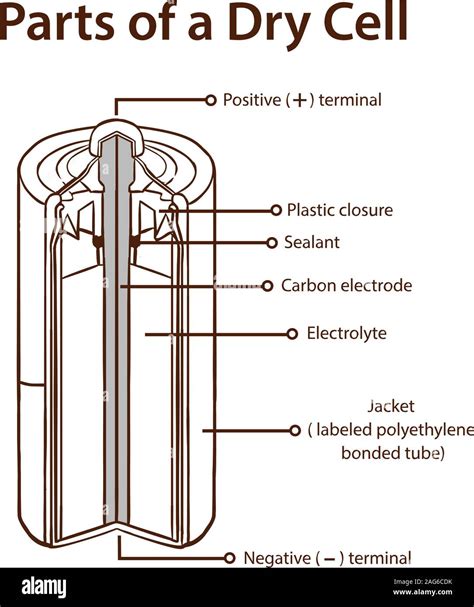 Alkaline Dry Cell Battery Diagram