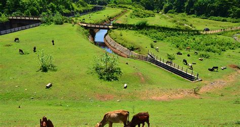 21 Best Places to Visit in Coorg (Madikeri) - Coorg Tourism