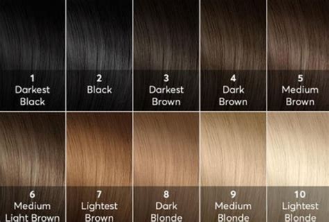 Pin by Jeana F on Hair Reference | Hair levels, Hair level chart, Hair ...