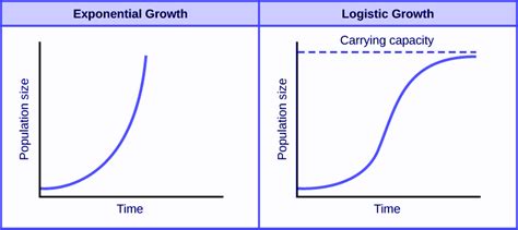 Logistic Function - Definition, Equation and Solved examples