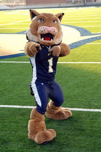 Everybody's favorite mascot: Champ the Bobcat! | Mascot, Montana state ...