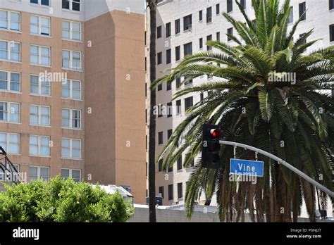 Vine Street at the intersection of Hollywood and Vine in Los Angeles ...