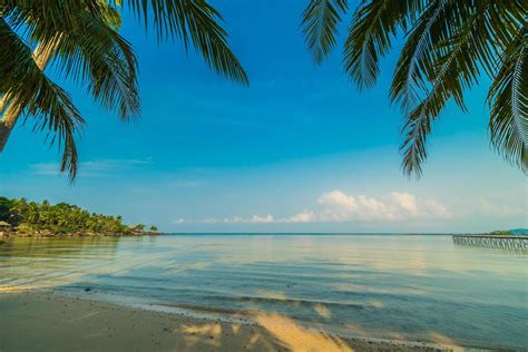 Paradise island with beach and sea 2087963 Stock Photo at Vecteezy