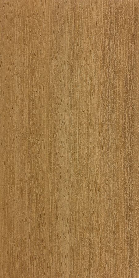 Iroko | The Wood Database (Hardwood)