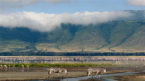 10 Interesting Facts About The Ngorongoro Crater