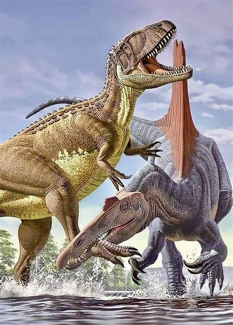 Carcharodontosaurus vs. Spinosaurus. Illustration by Raul Martin. : r ...