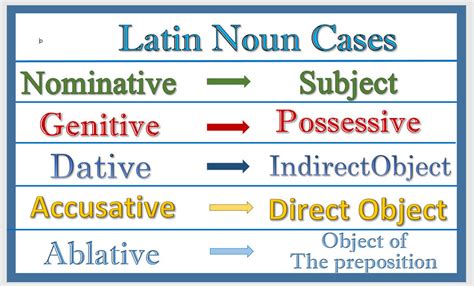 latin cases Diagram | Quizlet