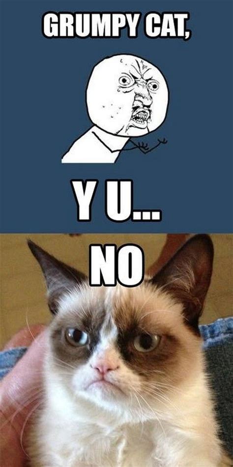 Y U No? Grumpy Cat quote, humor, meme #GrumpyCat #Meme Funny P, Funny ...