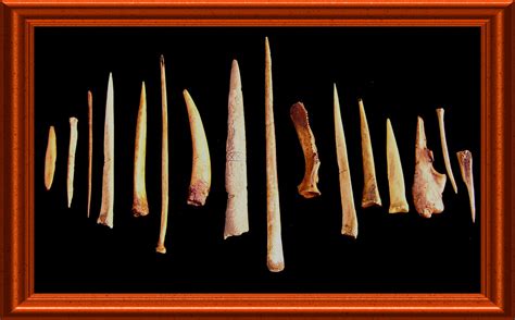 Stone age tools, Stone age, Prehistory