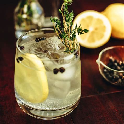 Spanish Gin & Tonic Cocktail Recipe