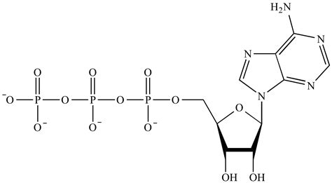 Illustrated Glossary of Organic Chemistry - Phosphate group