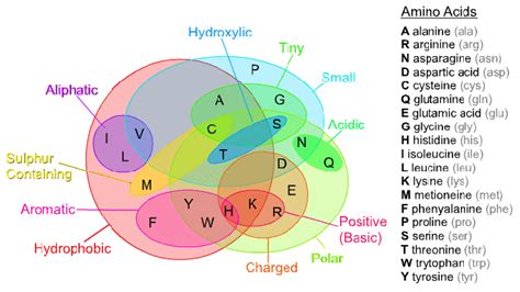 Venn diagram of boundaries that symbolizes the universal set of 20 ...