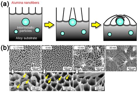 Coatings | Free Full-Text | Robust Super-Hydrophobic Coating Prepared ...