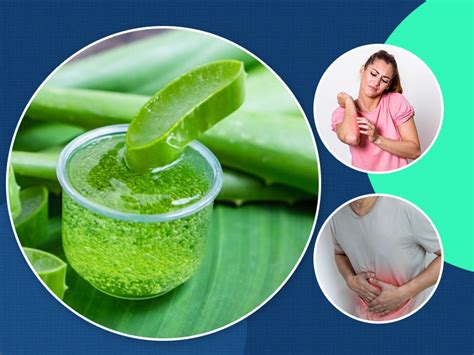 Here Are 7 Side Effects Of Aloe Vera Juice That You Should Be Aware Of ...