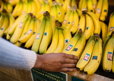 Bananas – Fairtrade America