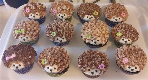 Hedgehog Cupcakes – Chocolate Gluten Free Cupcakes | Mayhem in the Kitchen!