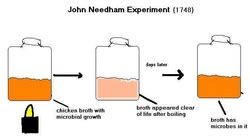 John Needham - Spontaneous Generation