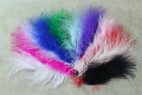 Ostrich Feathers