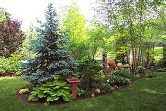 Create a Berm - Midwest Gardening