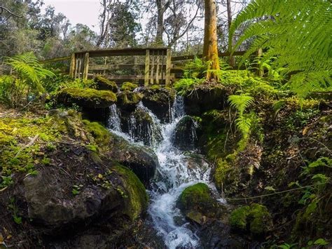 Florida's Rainbow Springs Offers Waterfall Chasing, Tubing & More