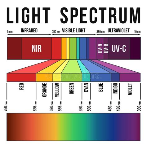 Light Spectrum. Range of the visible light and colors in the light ...