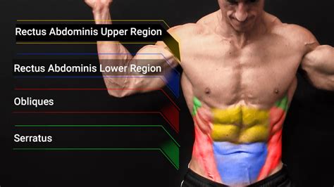 Abdominal Muscles Exercise