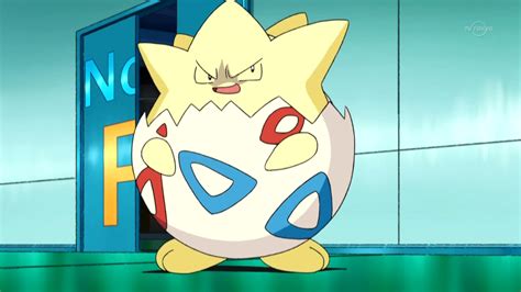 Togepi (DP142) | Pokémon Wiki | Fandom powered by Wikia