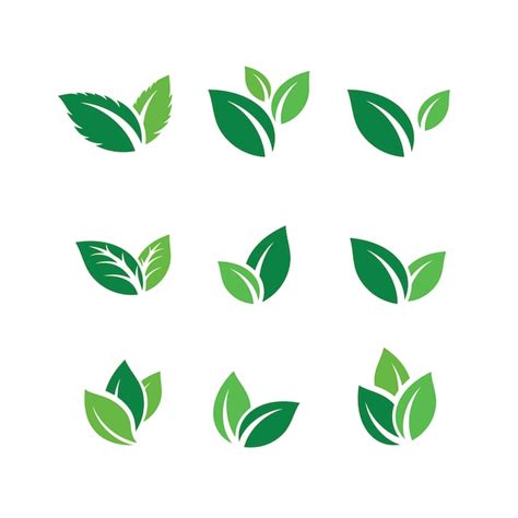 Premium Vector | Set of Green Leaf Logo design inspiration vector icons