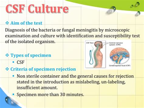 PPT - Cerebrospinal fluid ( csf) culture PowerPoint Presentation - ID ...