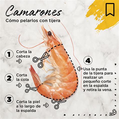 Todo lo que debes saber sobre los camarones - El Gourmet