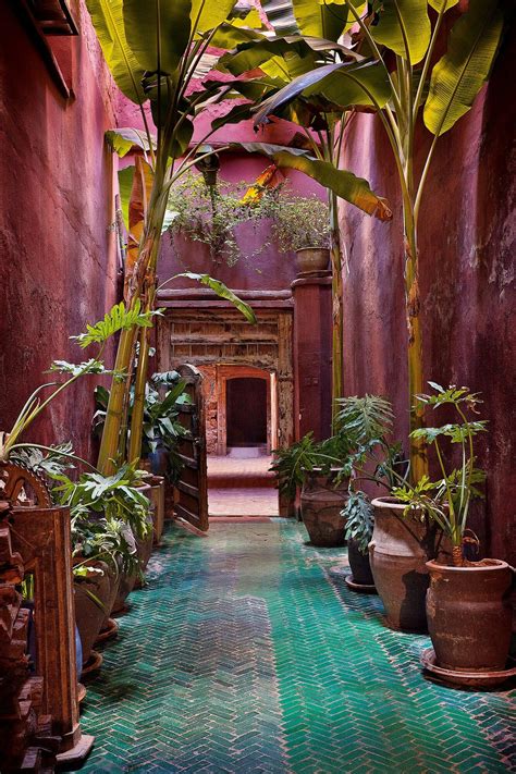 Riad Madani Marrakech | Moroccan garden, Outdoor, Beautiful places