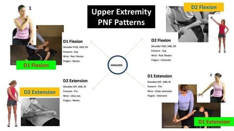 PNF patterns....D1 and... - Occupational therapy activities | Facebook